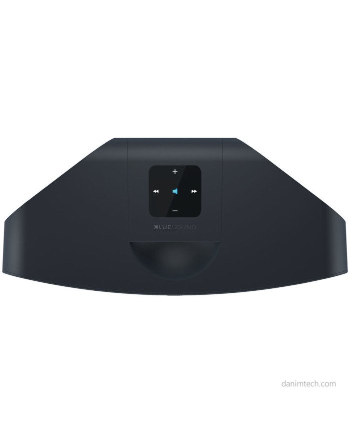 Bluesound Pulse Mini 2i Wireless Smart Speaker (Black)