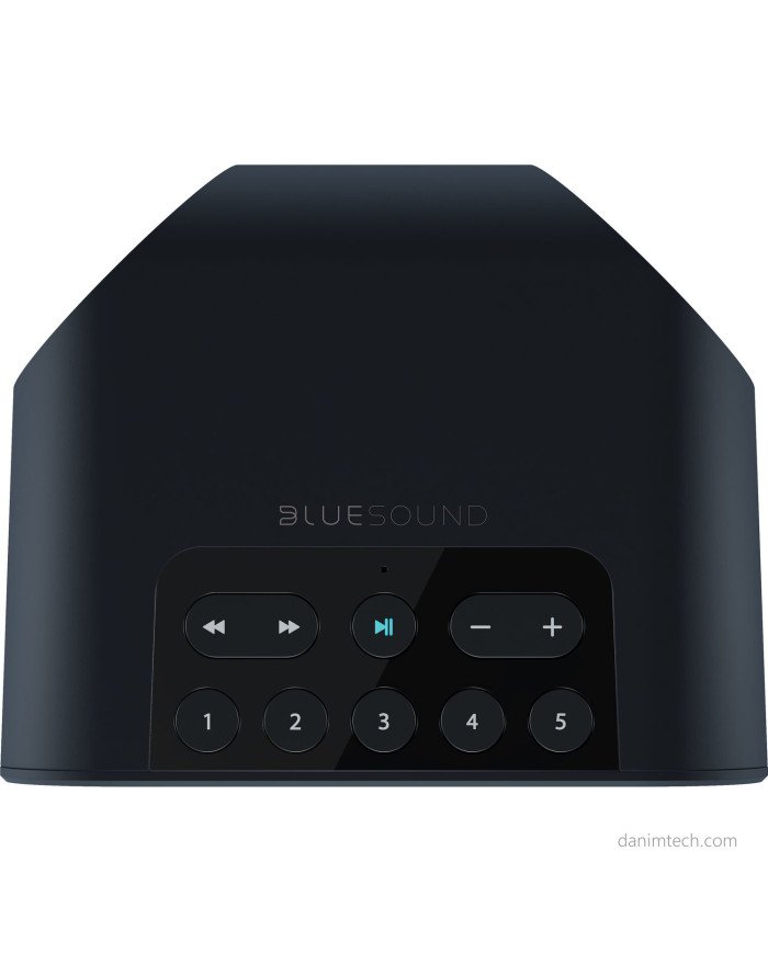 Bluesound Pulse Flex 2i Wireless Smart Speaker (Black)