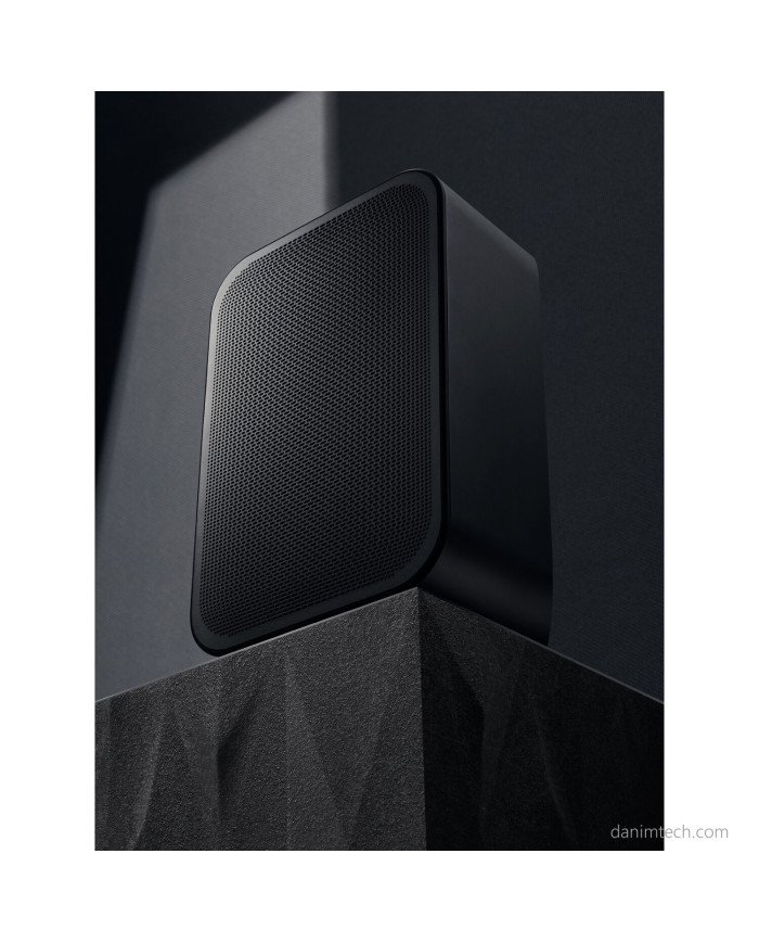 Bluesound Pulse Flex 2i Wireless Smart Speaker (Black)