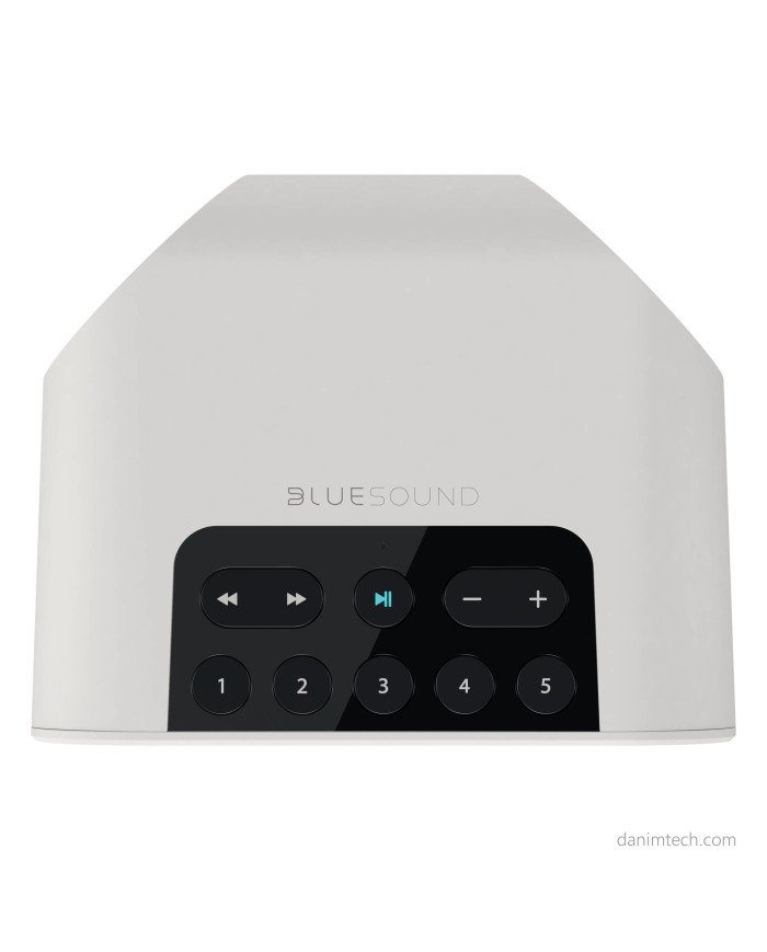 Bluesound Pulse Flex 2i Wireless Smart Speaker (White)