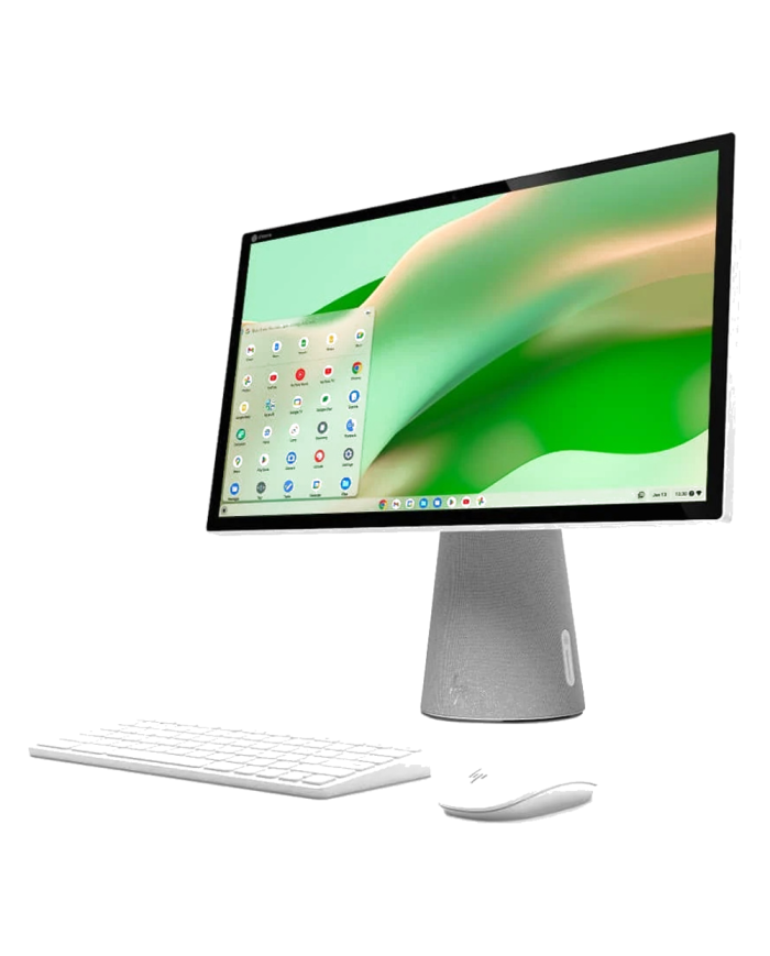 HP Chromebase 22- All-in-One PC - (Gray)
