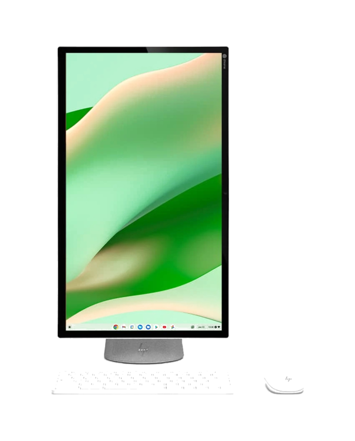 HP Chromebase 22- All-in-One PC - (Gray)