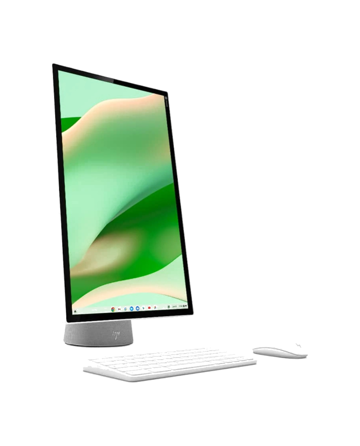 HP Chromebase 22- All-in-One PC - (Gray)