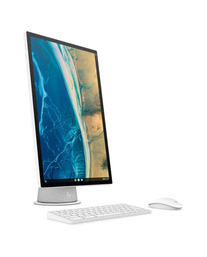 HP Chromebase 22- All-in-One PC - (Gray)